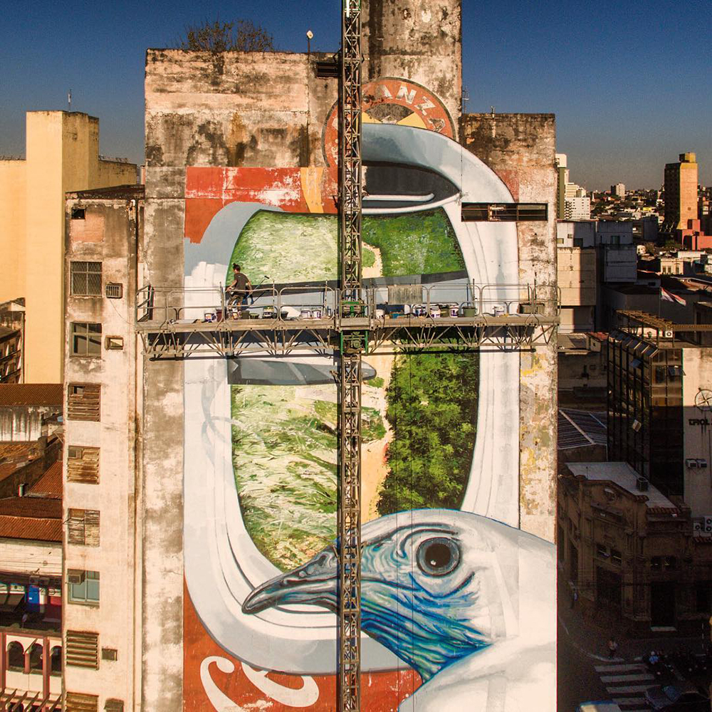 Mural de Gaia com ave ocupando a fachada de um edifício de Assunção